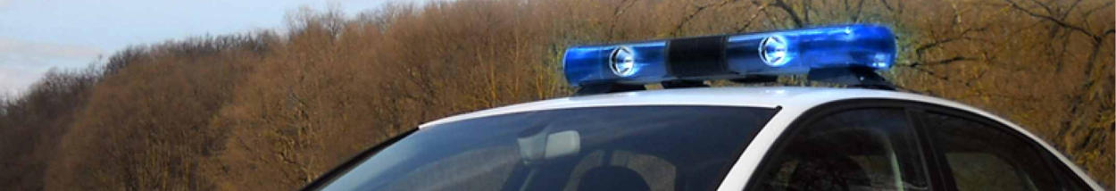 Svetlobni blok Phoenix grande